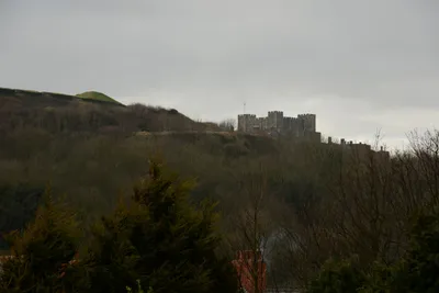 DSC_1301 (Large).JPG